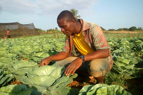 Ghana Eden Tree Investisseurs et Partenaires